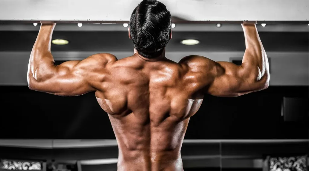 How Much Are Steroids Important to Grow Muscle