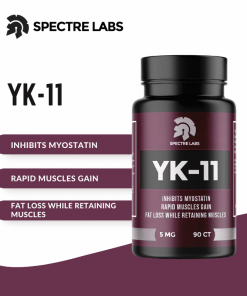 Alternative view of Spectre Labs – YK11